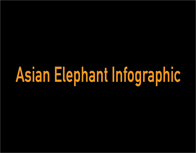 Asian Elephant Infographic