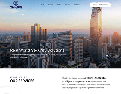 Website Design for Talos Services Group, LLC