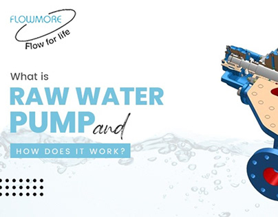 What is a Raw Water Pump, and how does it work?