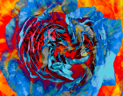 Blue rose on fire.