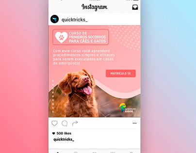 Instagram n Facebook ADS - CURSO P2