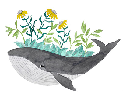gray whale with yellow flowers
