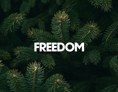 Christmas Campaign (Freedom)