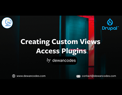 Creating Custom Views Access Plugins in drupal.