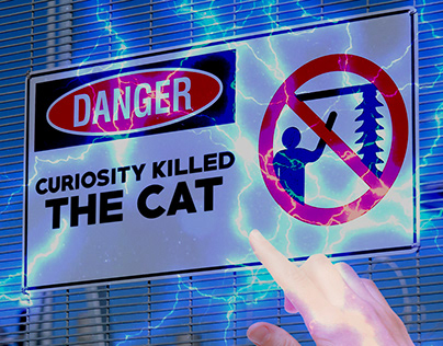 Guión - "La curiosidad mató al gato"