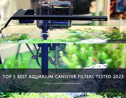 Top 5 best aquarium canister filters tested 2023