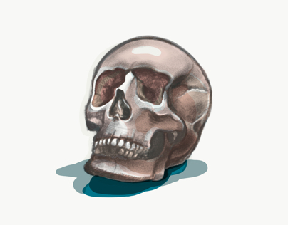 Skull no.1