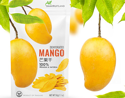 Mango pouch design