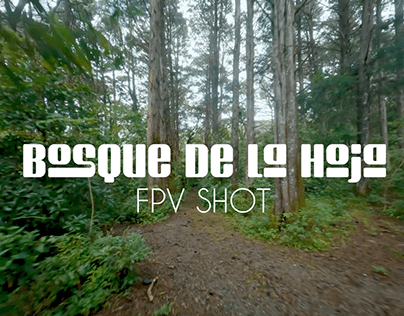 Bosque de la hoja Fpv shot