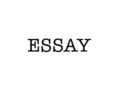 Essay