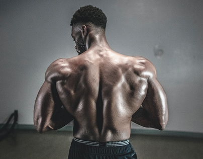 De rug spieren
