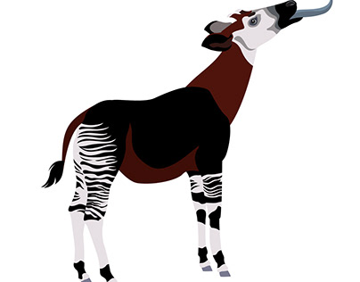 Okapi interactive animation for AMNH