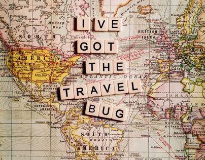 Travel Bug.