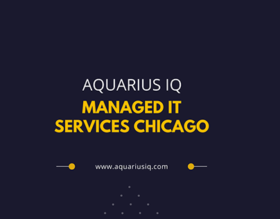 IT Managed Services In Illinois