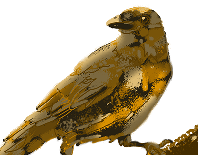 Cuervo dorado inspirado en Los Hermanos Grimm