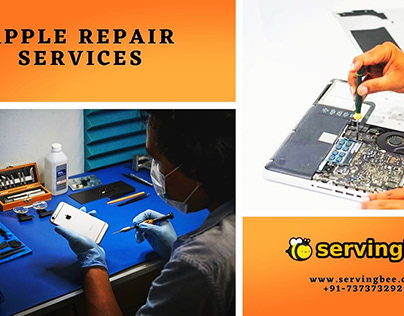 Apple Repair Service