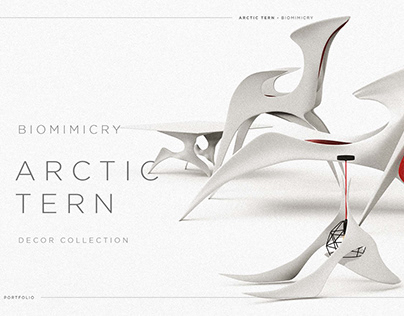 ARTCTIC TERN - BIOMIMICRY (DECOR COLLECTION)