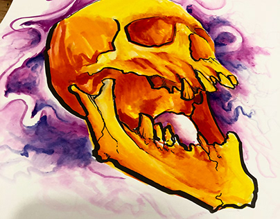 Skulls in Ecoline Watercolor