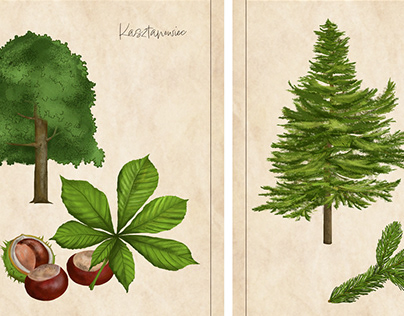ilustracje _ drzewa