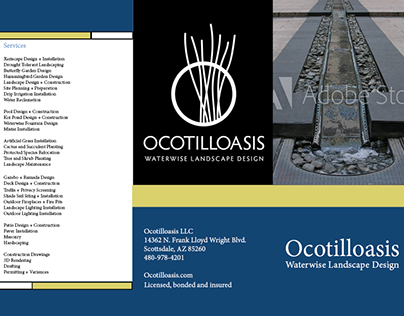 Tri-Fold For Ocotilloasis