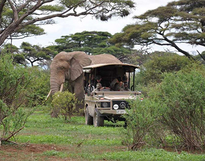 Unforgettable 2-Day Tanzania Safari