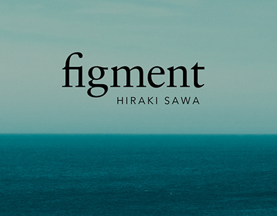 Catálogo "Figment. Hiraki Sawa"