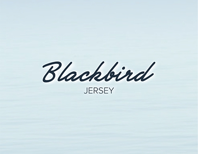 Blackbird for boat...