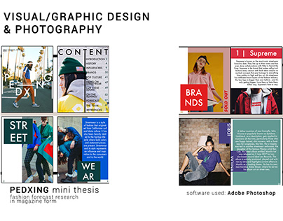 Visual / Graphic Designs