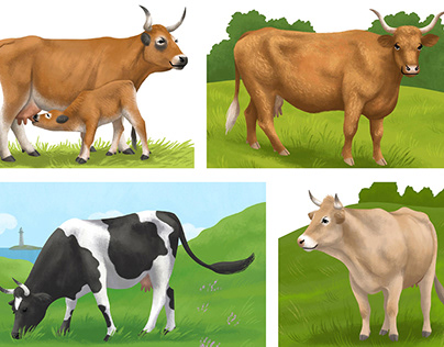Illustrations of cows from all around the world 4