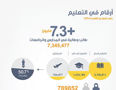 Saudi Education Infographic