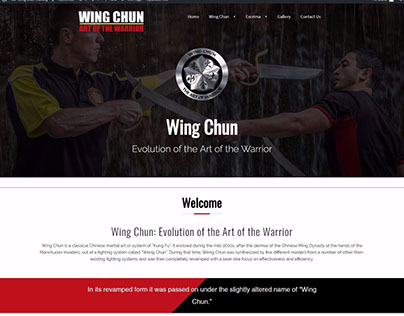 Wingchun Unbounce Landing page