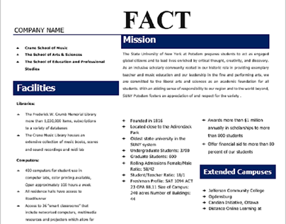 Modern Fact Sheet Template