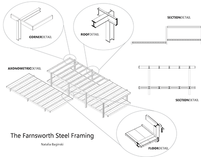 The Farnsworth Steel Framing