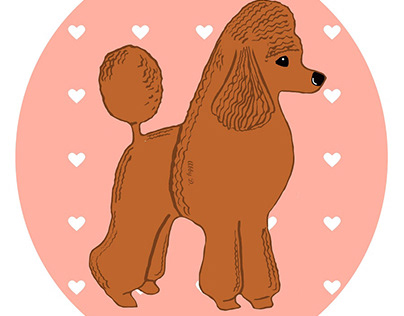 Red Poodle