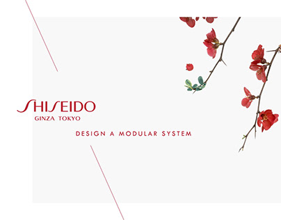 Shiseido Travel Retail Modular System Design