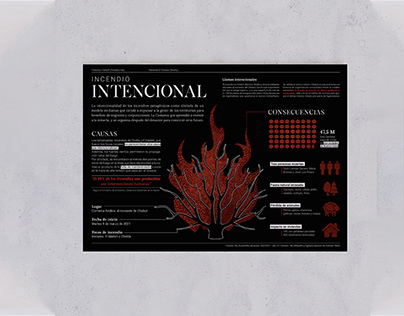 Infografia - Incendios intencionales -Cosgaya2