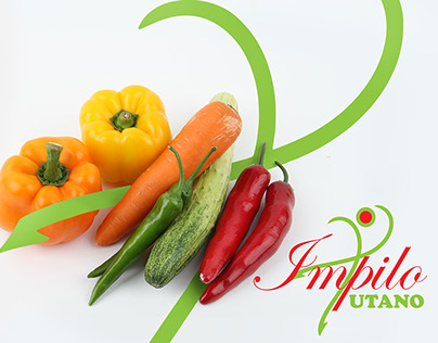 Impilo Utano Foods. Business Profile