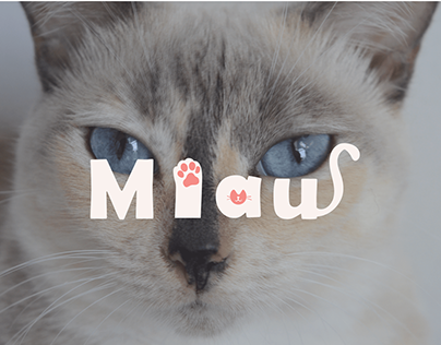 Instituto Miau: Identidade Visual | Web e UI Design