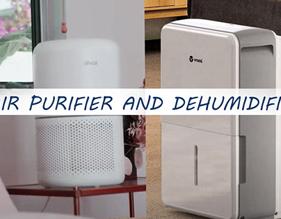 Air Purifier and Dehumidifier: