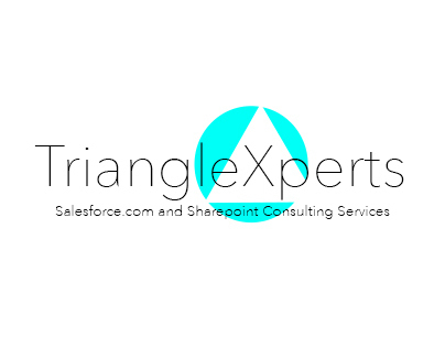 Logo Design - Triangle Experts