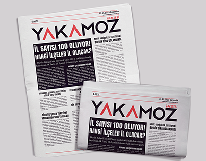 Logo Design and Tabloid Newspaper Design