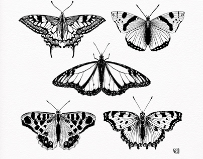 Not so real Butterflies pen-and-ink