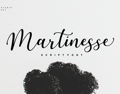 Martinesse - Script Font
