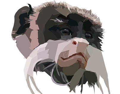 Mustache monkey portrait