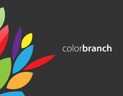 colorbranch Touch for BlackBerry PlayBook