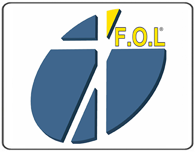 Site FOL Consultoria & Assessoria Empresarial