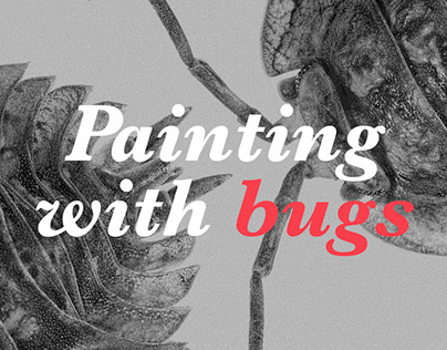 Painting with bugs