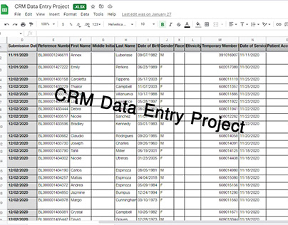 CRM data entry project