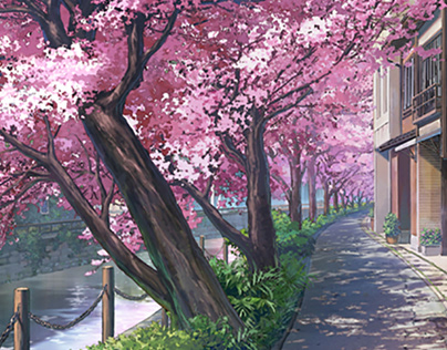 blossom street