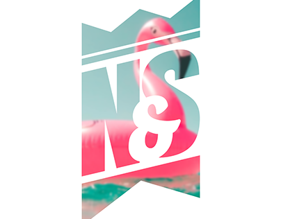 N&S Logo Design